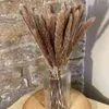 Natural Real Pampas Grass Table Dried Flowers Decor Boho Artificial Plants Mariage Home Decoration Wedding Christmas Accessories 211122