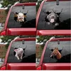 2021 Walls Decor Animal Wall Stickers Creative Tear Hole Waterproof Removable Sticker for Window Car Fridge Bathroom Dog Pig Horse Cow