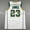 qq88 23 James High School College Maglie da basket Irish St Vincent Mary 33 Bryant Lower Merion North Carolina Allen 3 Iverson Michael Laney 33 Johnson Georgetown H