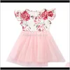 Baby, & Maternity Summer Baby Clothing Princess Infant Kids Dresses For Casual Wear Girls Tutu Dress Drop Delivery 2021 5Zozl