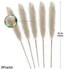 5 sztuk 100 cm Sztuczne Pampas Trawa Bukiet DIY Wazon Rok wakacje Wedding Party Home Decoration Simulation Flower Reed 210925