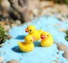 Amarelo Duck Fairy Jardim Miniatures Home Ornament Boneca Brinquedo Pingente Musgo Líquene Micro Paisagem Natural Resina Artes Artesanatos Presentes