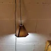 ペンダントランプ2.8mプラグケーブルスイッチベッドルーム寮の吊りライトを備えたペンダントランプベッドサイドランプクリエイティブデコレーションリジットルミナリア