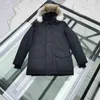 Down Jacket Parkas Mens Ytterkläder High-end Hooded Wolf Fur Windproof Vattentät vadderad Tjockad kappa Avtagbara Cap Coats Outdoor Jackor Varm och hållbar XXXX