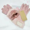 Neue Marke Design Faux Pelz Stil Handschuhe für Frauen Winter Im Freien Warme Fünf Finger Künstliche Leder Handschuh Großhandel WLL1189