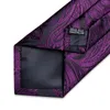 Bow Slips Luxury Purple Paisley Silk För Män Business Wedding Party Herr Neck Tie Manschettknappar Set Red Brosch Kedjan