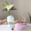 Vases Simple Art Glass Vase Decoration Fresh Desktop Flower Arrangement Now Home Accessories Living Room Hydroponic