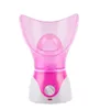 Taibo CE approuvé Steamer facial portable