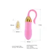 Drahtlose Fernbedienung Vibrator Slip Vibrating Ei Wearable Dildo G Spot Clitoris Analsex Spielzeug für Frauen Erwachsene Direkt