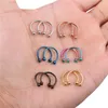 Rajnard 12PC Nose Horseshoe Hoop Rings Stainless Steel Eyebrow Lip Ear Tragus Septum Piercing Hanger Retainer 16G 14G 12G