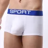 Mutande Boxer da uomo Intimo da uomo Mutandine sexy da naso di elefante Boxershorts Pantaloncini da uomo in cotone solido taglie forti