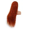 Indische Deep Wave Curly 13X4 Lace Front Perücken 350# Farbe 100 % Echthaarprodukte 12-32 Zoll