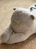 Kawaii gato boneca grande gatinho macio gatinho macio brinquedo almofada almofada almofada sofá para menina presente de feriado 43inch 110cm dy10036