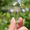 2pcs 1:12 Dollhouse Miniatyrer Glas Vase Modell Doll Hus Tillbehör Decor Toy High Quality