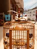 Klatki ptaków Handmade Thrush Cage Średnica 32 / 34/36/38 / 40cm Boutique Full Accessories House Starling Quality Bamboo Bird's Nest