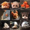 Sem acabamento Relaxado Kit DIY Handmade Bolso Animal Pet boneca Brinquedo de Lã Agulha Felting Kit Cão Gato Fox Head Decor Cão Fox Rabbit Y0816