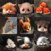 Non finished Relaxed DIY KIT Handmade Pocket Animal Pet Doll Toy Wool Needle felting Kit Dog Cat Fox Head Decor Dog Fox Rabbit Y0816