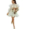 Casual Design Short Wedding Dresses Bridal Gowns High Neck Long Puffy Sleeve Ruffles A Line Cute Mini Vestido De Noiva Outdoor 202282C