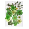 Sachet Taschen Natürliche gepresste getrocknete Blumen Künstliche Trockenpflanzen Dekorativ Für DIY Zubehör Nagel Handwerk Telefon Fall Anhänger