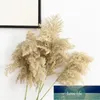 15ピースの結婚式の装飾パンパス草大きなサイズの乾燥植物自然花ブーケ羽の花コーヒーショップの家の装飾1