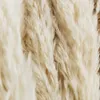 Pampas العشب ديكور أبيض اللون المجفف الطبيعي الزهور رقيق ابيض باقة بوهو خمر نمط لحضور حفل زفاف ديكور المنزل 210925