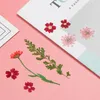 Lesezeichen DIY echte natürliche getrocknete gepresste Blumen
