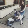 High-power double shock-absorbing electric scooter wide tire adult youth city transportation vehicle