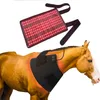 Pain relief after reducing weight of neck shoulder red light therapy animals with heating pet LED light