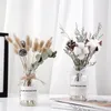 Natürlich getrocknete Baumwollblume künstliche Pflanzen Blumenzweig für Hochzeits-Party-Dekoration Fälschungs- und Flaschen-Set Wohnkultur dekorative Blumen
