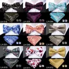 LH-501 Hi-Tie Silk мужские галстуки для мужчин для мужчин Классический Пейсли Свадьба свадьба Платки Запонки Золотой Боути набор