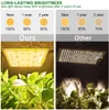 LED Grow Lights Pełna Spectrum Samsung QB6000 Pro z LM281B 234PCS 3000K chipsy i sadzenie wewnętrzne sterownika