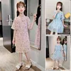 Abito estivo per bambina Motivo floreale Bambina con balze per bambini Costumi in stile casual 210528