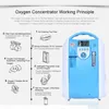 Concentrador de oxígeno portátil recién 15L Purificador de aire Generador de oxígeno PSA Oxygen Machine Travel Use Blue286d2857578