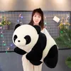 Fidget Toys Peluche Bébé panda Kawaii Peluche Poupée Coton pp tridimensionnel de haute qualité Peluches courtes Cadeau de Noël Animal mignon Ouvert