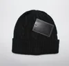 Мода дизайнер Polo Beanie Unisex осень зимние шансы вязаная шапка для мужчин и женщин шляпы классические спорты маленький лошадь череп колпачки женские повседневные открытый теплый
