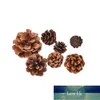 Christmas Decorations Year Holiday Party Decoration Pine Cones Pinecone Xmas Ornament For Home Parties Supplies 10pcs1 Factory price expert design Quality Latest