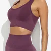 Femmes Yoga Set sans couture Sportswear 2 pièces Gym Vêtements Bra + Leggings Running Wear Skinny Suits 210802