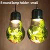 Nordic Coffee Shop Solar Lampen Tea Seat Glass Bulb LED Spotlight Dining Woonkamer Pastorale Bal Groene Plant Hanglamp