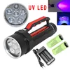 led dive light