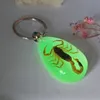 Lysande Scorpion Keychain - Ny Lysande Produkt Real Crab och Scorpion Key Chain Bag Car Key Ring # 17067 G1019