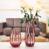 Вазы ясень желтый коричневый буква стеклянный ваза цветочный декорирование дома украшения прозрачные