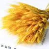 100Pcs/lot Natural Dried Flower Wheat Ear Bouquet for Weddomg Living Room Decoration Flloral Arrangement Mall Window Chen Mei Layout