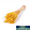 Decorative Flowers & Wreaths 50Pcs/lot DIY Primary Colors Home Party Wheat Ears Natural Dried Wedding Decoration Garden Ornament Shooting Pr Factory price expert