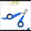 Pet Supplies Home & Gardenpet Claw Stainless Steel Dog Cat Nail Scissor Trimmer Grooming Scissors Cutter Pets Health Tool Animal Claws Scisso