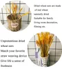 100Pcs/lot Natural Dried Flower Wheat Ear Bouquet for Weddomg Living Room Decoration Flloral Arrangement Mall Window Chen Mei Layout