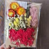 Decoratieve bloemen kransen A5 geperst bloem materiaal pakket DIY kaars po frame gedroogde eeuwige cirkelvormige fan drijvend