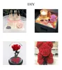 Red Forever Eternal Rose Real Preserved Roses Flower con caja de regalo para madre o amigos D￭a de San Valent￭n al por mayor 8 piezas/paquete