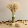 Natural Dried Flower Reed Bouquet for Home Decor Small Pampas Grass Wedding dry Phragmites Bunch Y0630