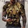 león tee shirts