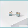 Stud Jewelrystud 1.0Cm Square Druzy Drusy Earrings Mini Resin Round Fashion Designer Jewelry Gold1 Drop Delivery 2021 Jurhz